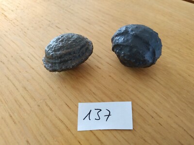 137 Moqui Marbles -Lebende Steine - wunderschönes  Paar - aus Utah/USA- Nr. 137