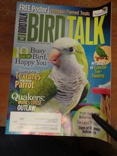*BIRD TALK MAGAZINE Nov 10 Quaker Parakeet Eclectus Enrichment Toys Playgyms