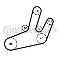 6PK1780K1 Continental Ctam Keilrippenriemensatz FüR Renault