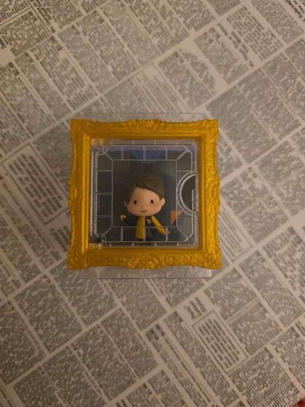 Harry Potter Micro Magical Moments. Year 4.  cedric