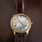 READ Vintage Timex Marlin Watch 35mm Gold Date Works