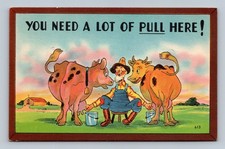 Vintage Humorous Cartoon Postcard Farmer Milking Cows 