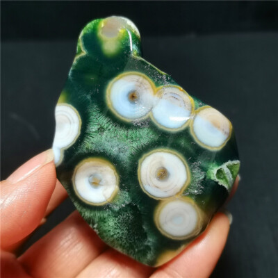Rare 122G Natural Polished Orbicular Ocean Jasper Stone Reiki Healing WYY3218