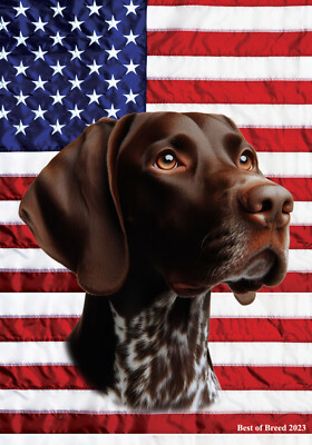 German Shorthair Pointer All-American III Flag