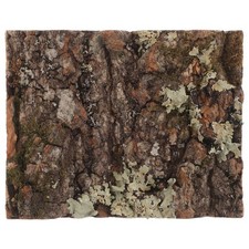 Bark Background For Reptile Tanks Handcrafted 1Pcs 3.9X3.1X0.6In