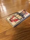 Victor Mouse Traps Sustainably Sourced FSC Wood- Set of 20 — photo 6