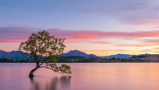 Landscape trees lake wanaka new zealand sky sunlight Custom Gaming Mat Desk