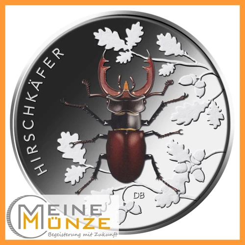 25 x 5 Euro Coin DEER BEETLE Roll Germany 2024 Series "Wonderland Insects"