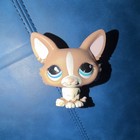 Hasbro LPS Littlest Pet Shop Brown & White Dog Figure Blue Eyes, MPN 02581 — photo 1