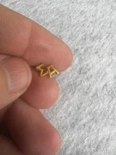 Sigma Alpha Fraternity Sorority Gold Tone Chapter Guard Pin    (i2023i)