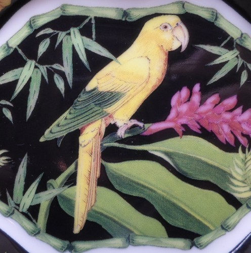 4 Vintage MACAW COLLECTION DISHES by Andrea by Sadek Colorful Parrots Designs - Picture 3 of 11