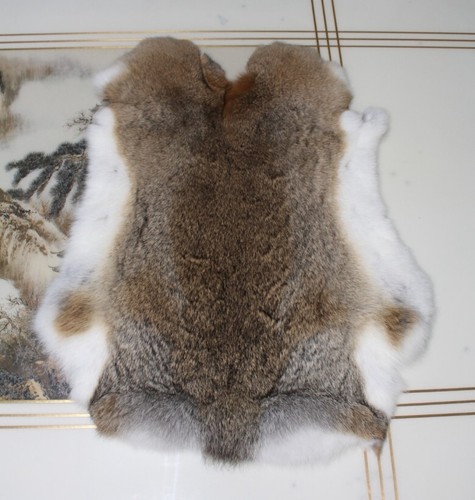 Random Color 6 Pieces Real Rabbit Fur Pelts Leather Hide for DIY Crafting Decor - Picture 7 of 18