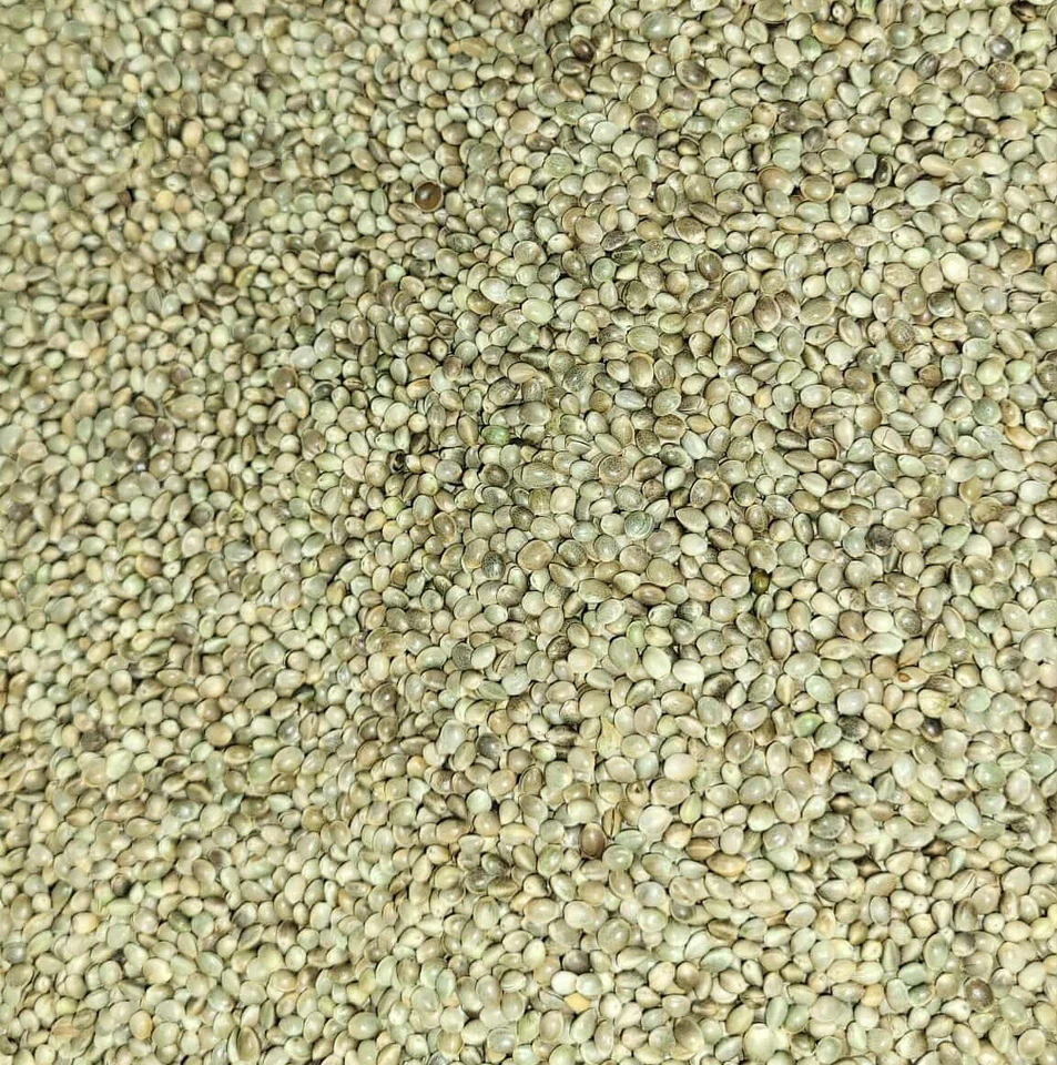 Premium Kosher Hemp Seed Nuts – 100% Food Grade & Nutrient-Rich! - Image 2 of 4