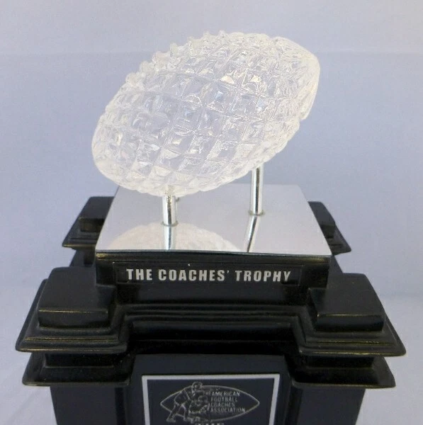 2007 LSU TIGERS FOOTBALL NATIONAL CHAMPIONS CHAMPIONSHIP MINI TROPHY NOT RING - Image 2 of 3