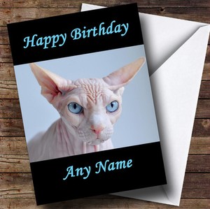Blue Eyed Sphynx Cat Personalised Birthday Greetings Card | eBay