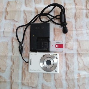 Sony Cyber-Shot Dsc-W30 | eBay