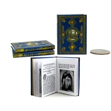 1:6 Scale ABBEYS AND CASTLES Readable Illustrated Playscale Book