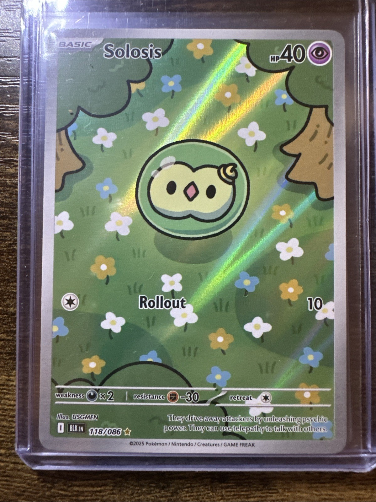 Solosis 118/086 Illustration Rare, Black Bolt, Full Art Holo, Pokemon TCG, NM