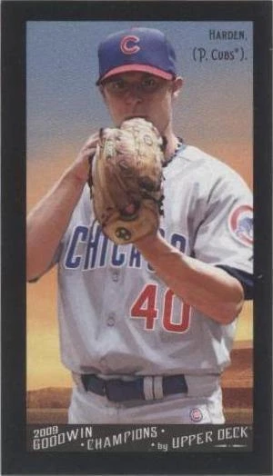 Mini Black Border Gypsy Queen Back