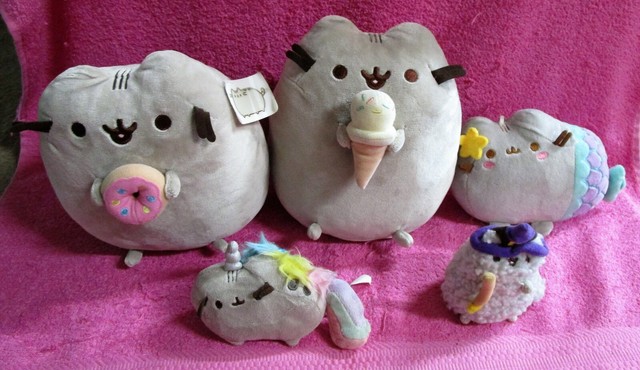 pusheen holding ice cream