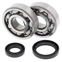 Lagersatz Kurbelwelle All Balls 24-1016 FüR Suzuki RM 125 Ccm Bj. 1989 - 2012