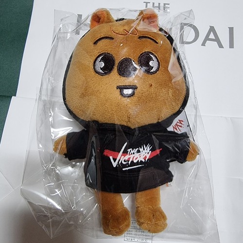 STRERAY KIDSxSKZOO Plüsch JYP POP-UP STORE Mini PUPPE THE VICTORYKIDS IN SEOUL - Bild 23 von 34