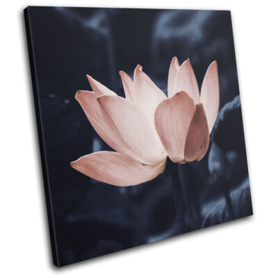 Navy Peach Lily Flower Nature Floral SINGLE Leinwand Kunst Bild drucken