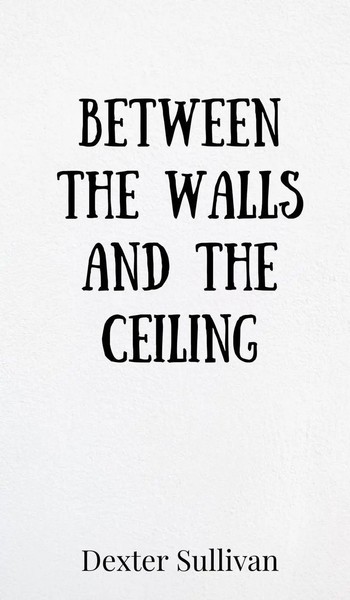Between The Walls And The Ceiling | Dexter Sullivan | Buch | Englisch | 2025-image