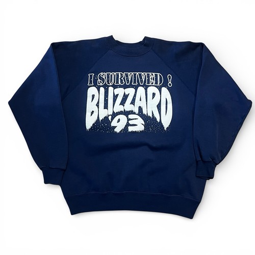 Vintage 1993 I Survived Blizzard 93 Sweatshirt XL Hanes Navy USA Made