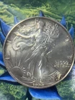 1990 Walking Liberty Silver Dollar
