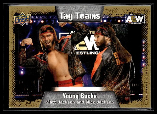 2022 Upper Deck AEW All Elite base, pyros and parallels pick from list - Picture 364 of 505