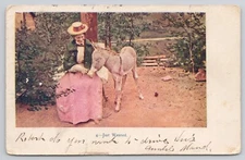 Just Weaned Pretty Lady in Long Pink Dress Feeding Donkey Embossed 1907 Postcard
