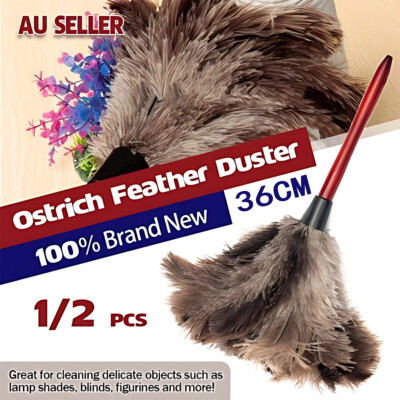 Anti Static Genuine Ostrich Feather Duster with Wooden Handle Brush ...