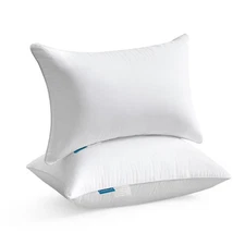 Oubonun 14 x 22 Pillow Inserts Set of 2 - Lumbar Pillow with 100 Cotton Cover...