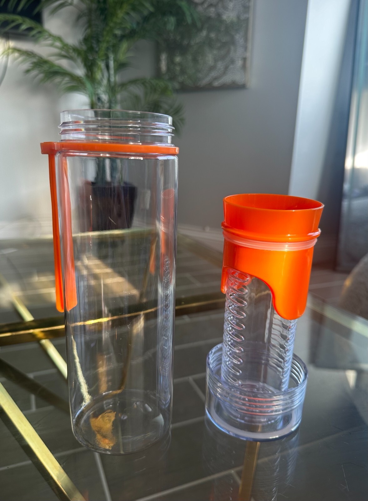 Premium Infuser Water Bottle with Removable Attachment