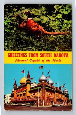 Banner Greetings From South Dakota Corn Palace Pheasant Capital Vintage Postcard