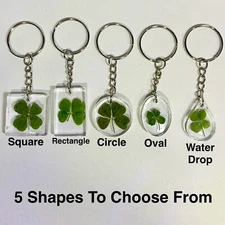 Real Four Leaf Clover Keychain - Lucky 4 Four Leaf Clover Good Luck Shamrock