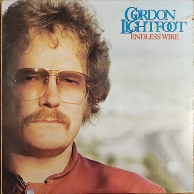GORDON LIGHTFOOT – ENDLESS WIRE – BSK 3149 – USA – LP - Imagen 1 de 4
