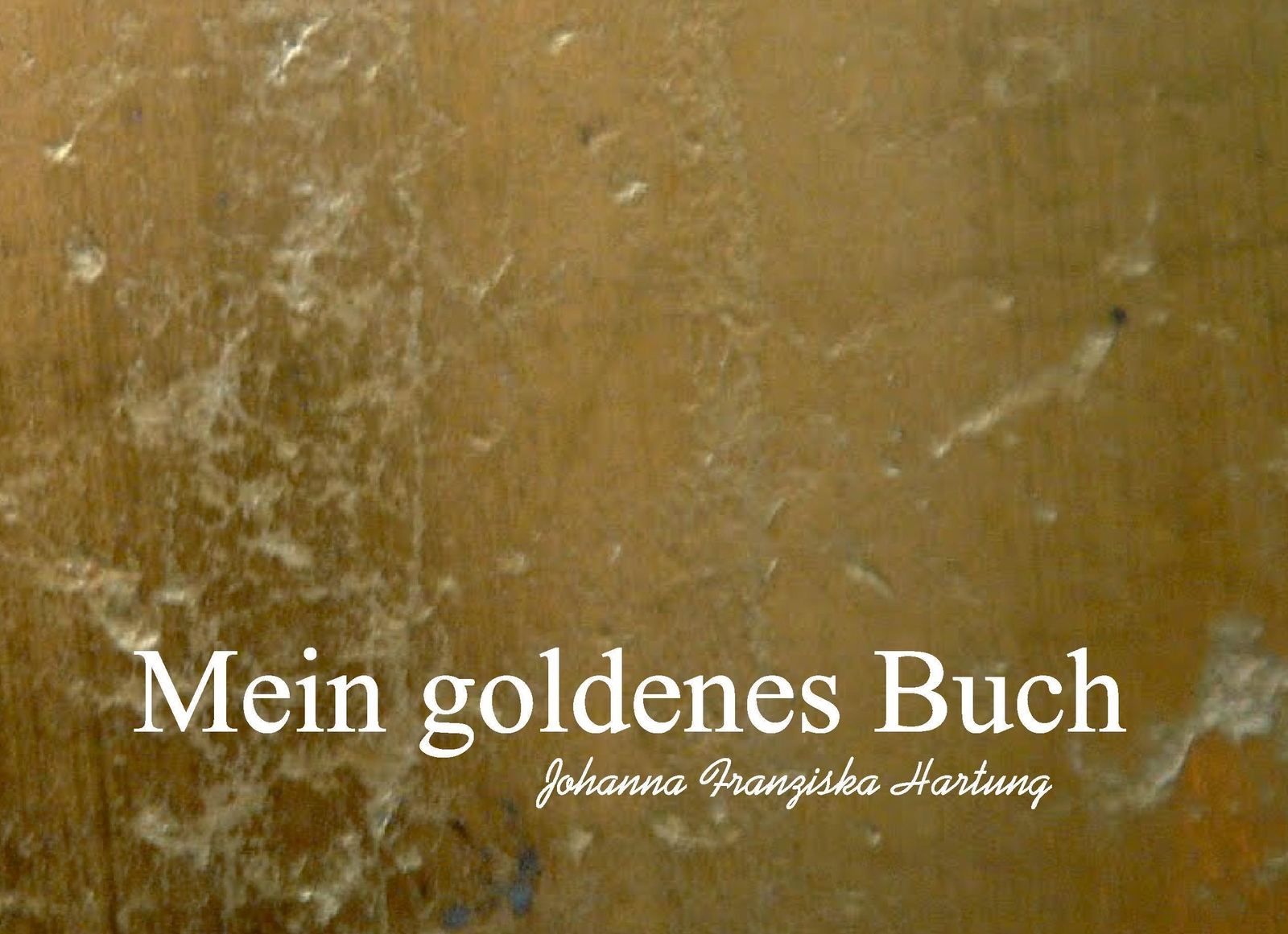 Thumbnail - Johanna Franziska Hartung | Mein Godenes Buch | Buch | Deutsch (2016)