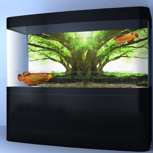 fish tank plant holders