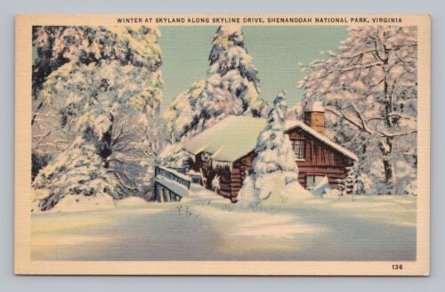 Postkarte Winter am Skyland entlang der Skyline Drive Shenandoah Nationalpark Virginia - Bild 1 von 2