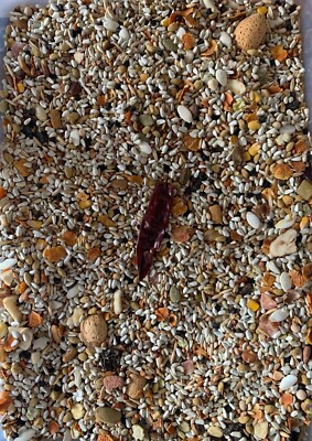 Higgins Vita California parrot blend seed fruit nuts diet parrot