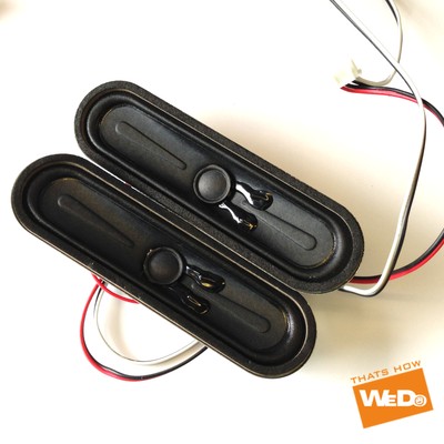 goodmans led speaker