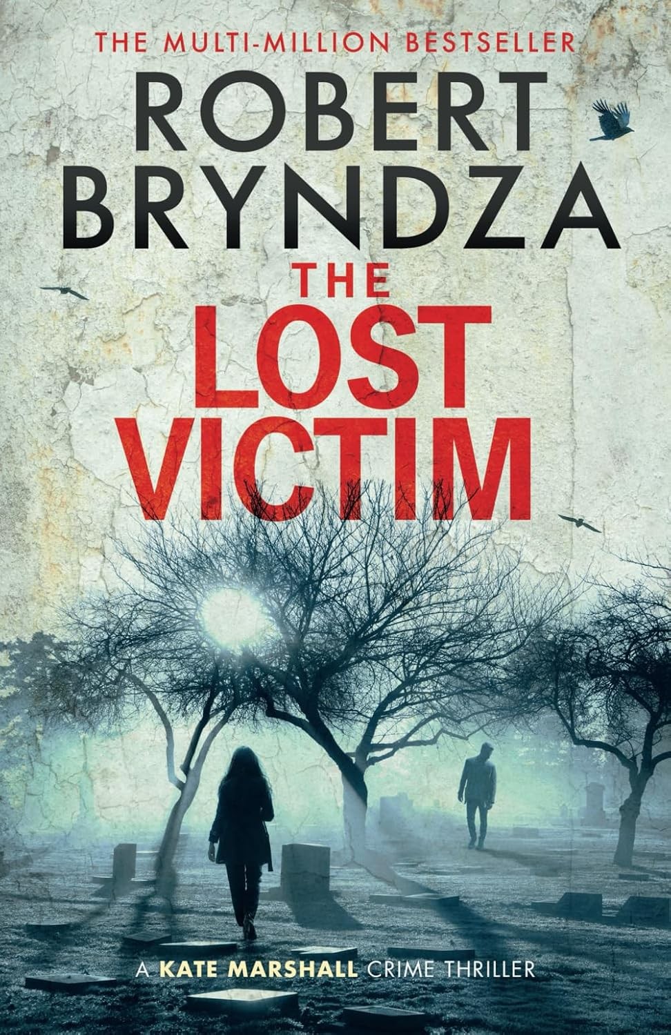 The Lost Victim Robert Bryndza - Image 2