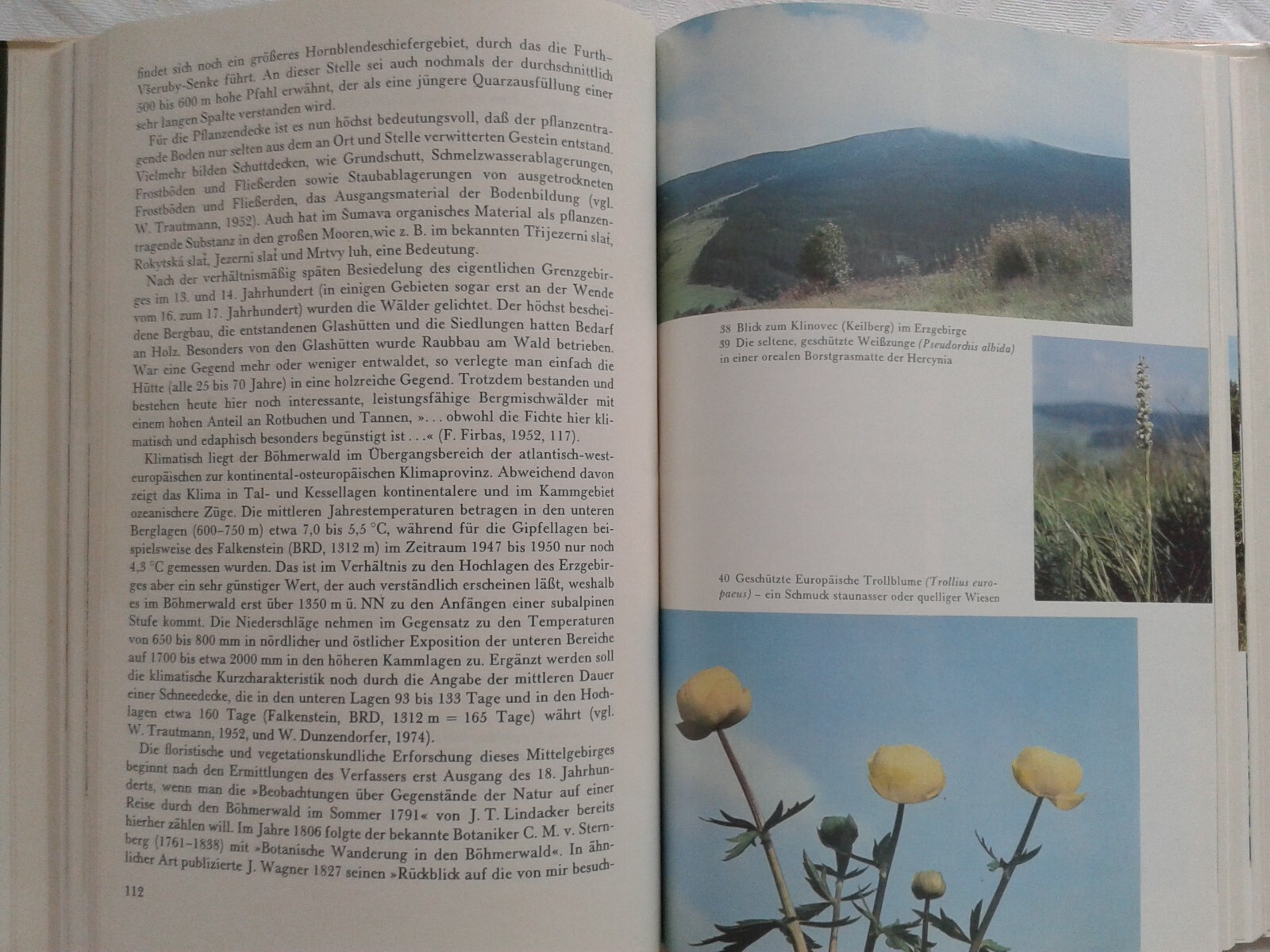 Bild 5 von 5