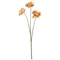 Kunstblume Rose Noble Velv, 2Er Set, Farbe Apricot, HöHe Ca. 76 Cm