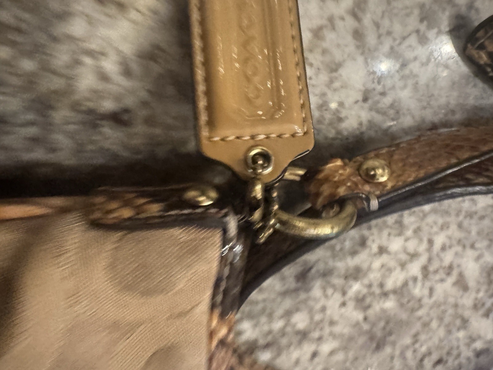 Coach Python Snakeskin Embossed Strap & Lined Mon… - image 10