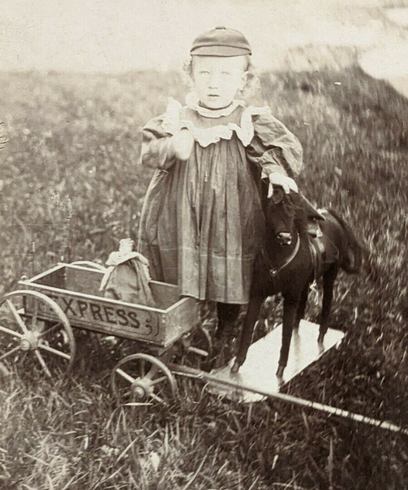Vintage 1900s? Little Girl Dress Horse Toy Express Pull Wagon Cabinet Card