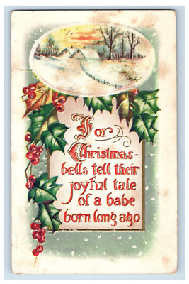 C1910 Berries Holly Snow Christmas Postcard P114E