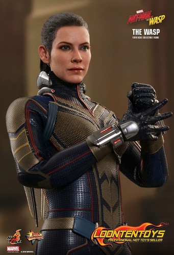 Hot Toys 1/6 MMS498 – Ant-Man and the Wasp – The Wasp IN STOCK - Picture 10 of 12
